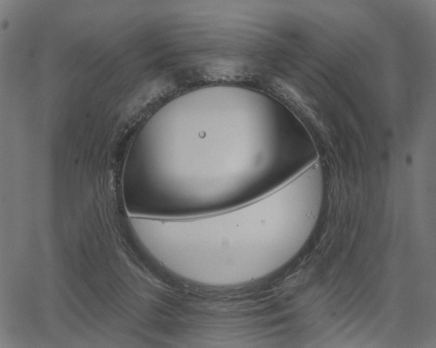 X0000067350211200603310908