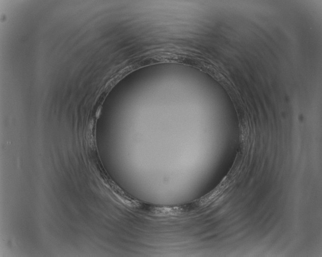 X0000067350239200603310908