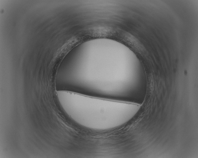 X0000067350258200603310907