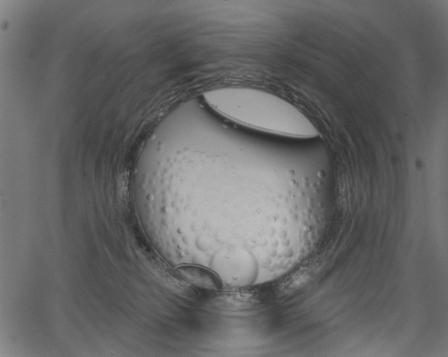 X0000067350278200603310907