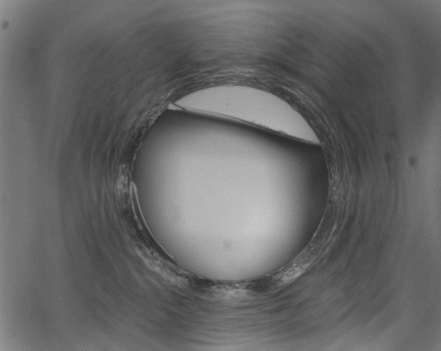 X0000067350284200603310907