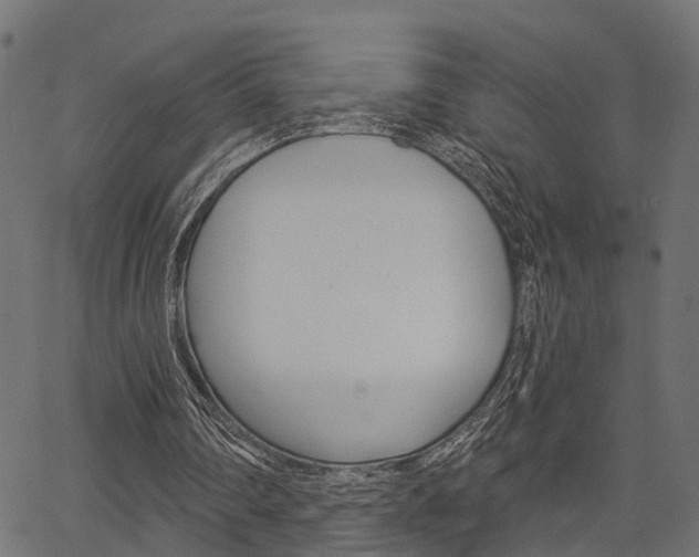 X0000067350290200603310907