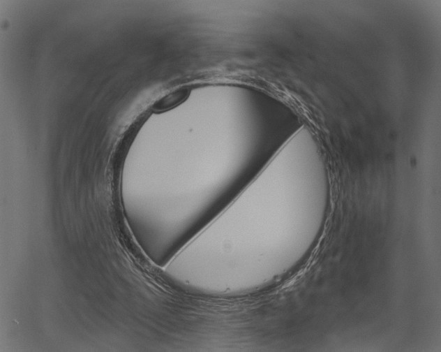 X0000067350295200603310907