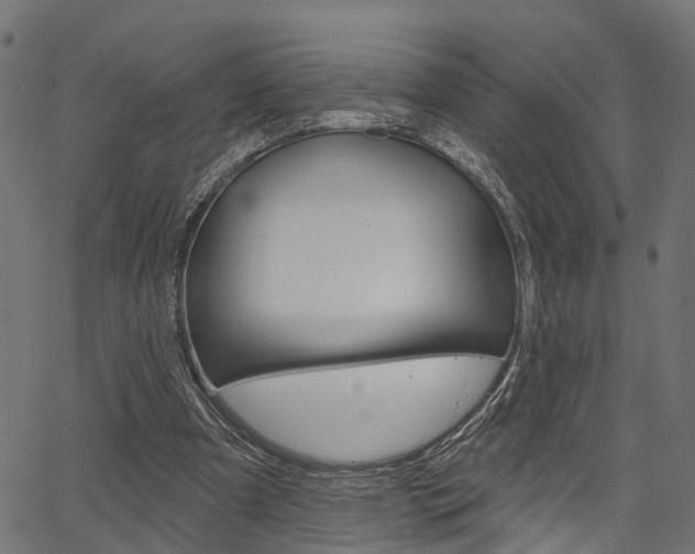 X0000067350297200603310907