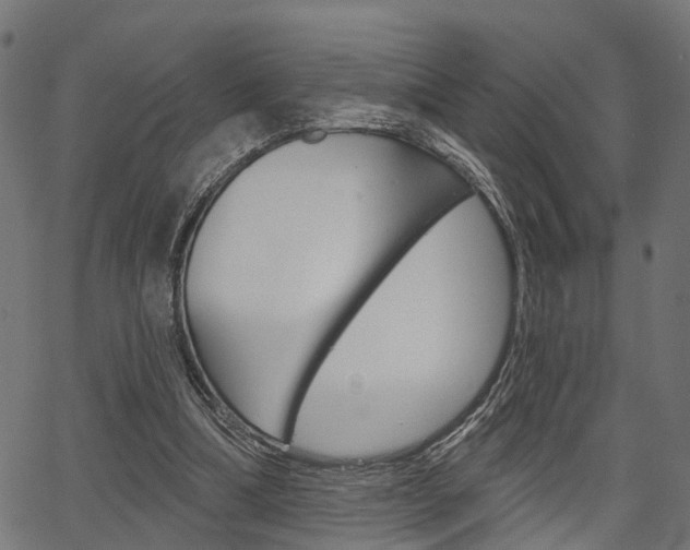X0000067350298200603310907