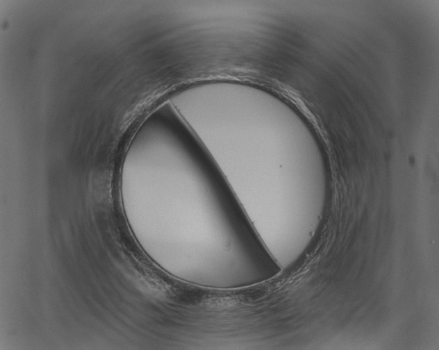X0000067350299200603310906