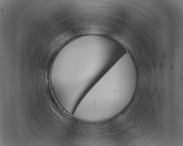 X0000067350302200603310906