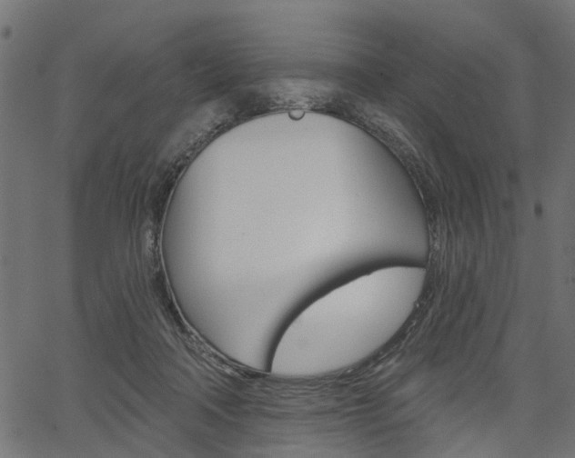 X0000067350314200603310906