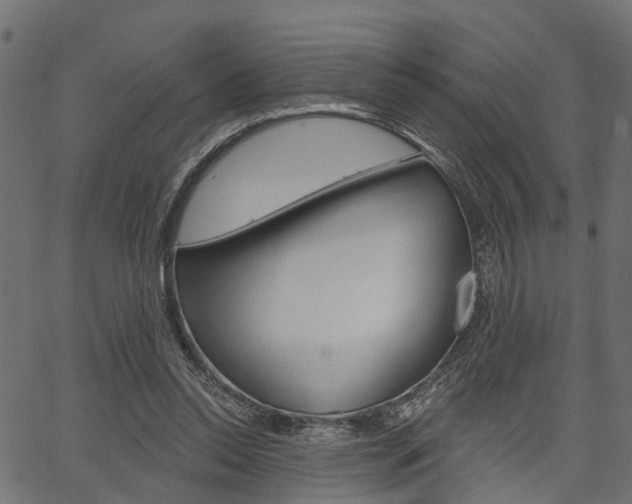 X0000067350350200603310905
