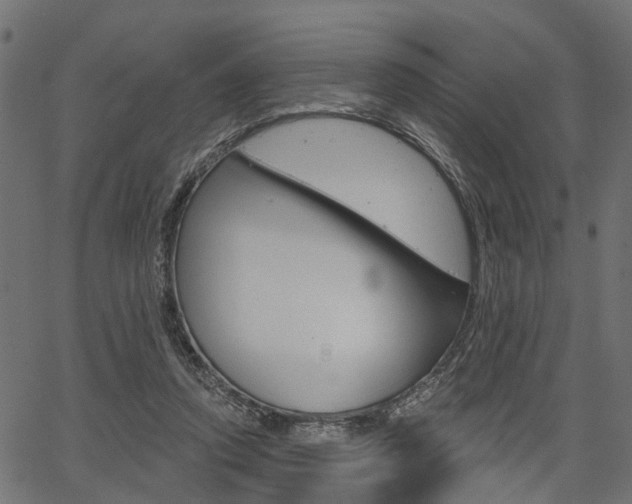 X0000067350354200603310905