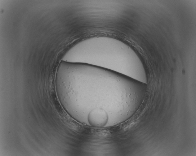 X0000067350359200603310905