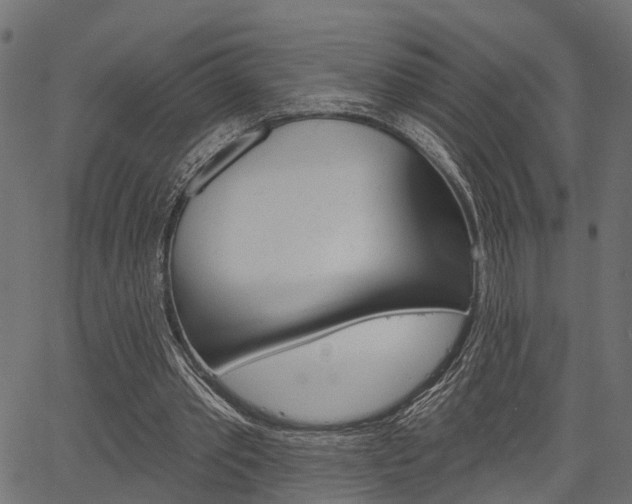 X0000067350389200603310905