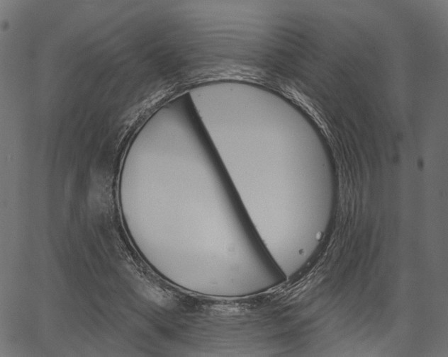 X0000067350394200603310905