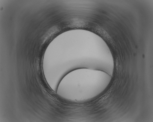 X0000067350396200603310905