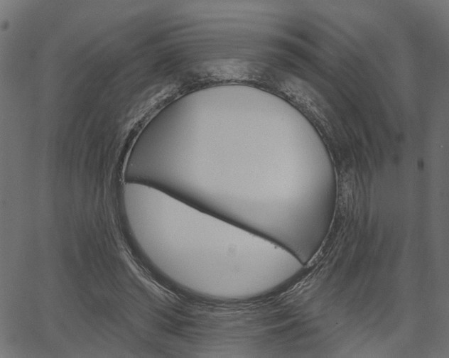 X0000067350398200603310905