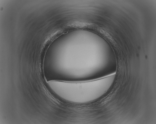 X0000067350399200603310905