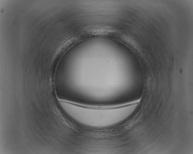 X0000067350407200603310905