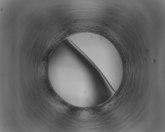 X0000067350412200603310905