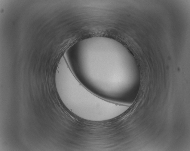 X0000067350432200603310904