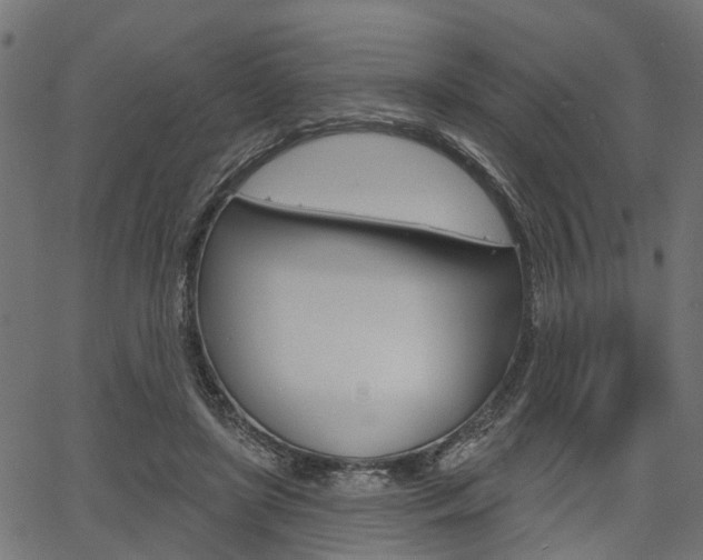 X0000067350451200603310904