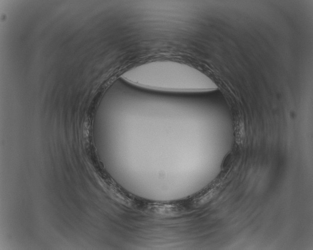 X0000067350472200603310904