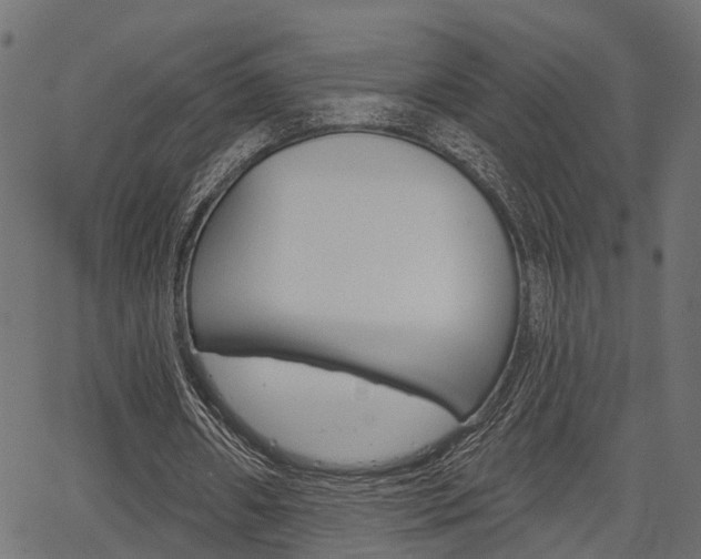 X0000067350482200603310904