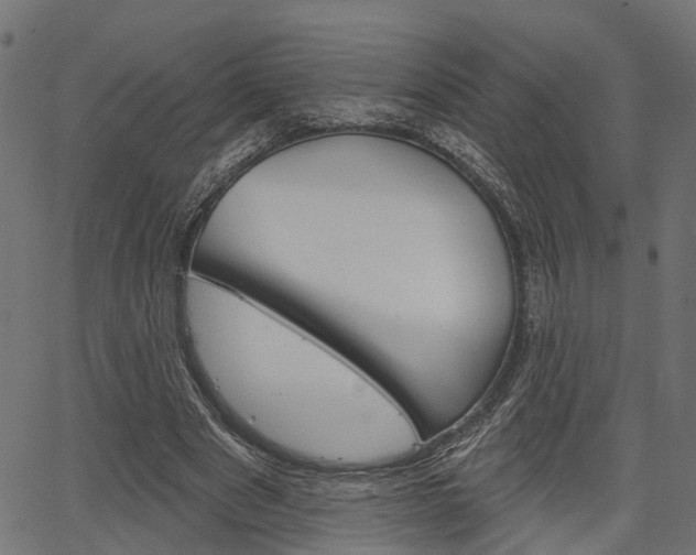 X0000067350489200603310903