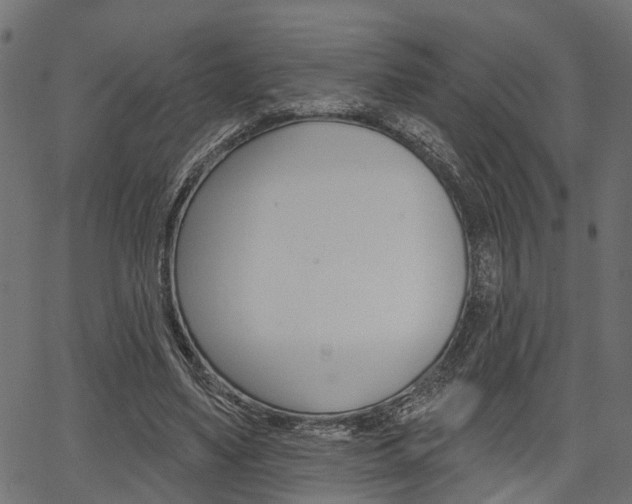 X0000067350491200603310903