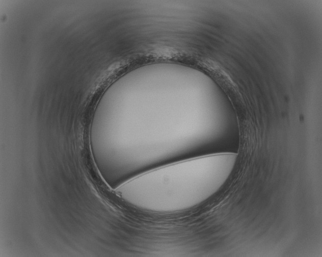 X0000067350496200603310903