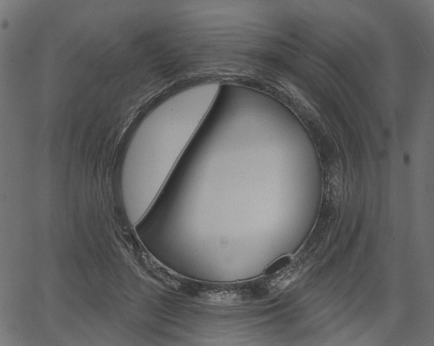 X0000067350500200603310903