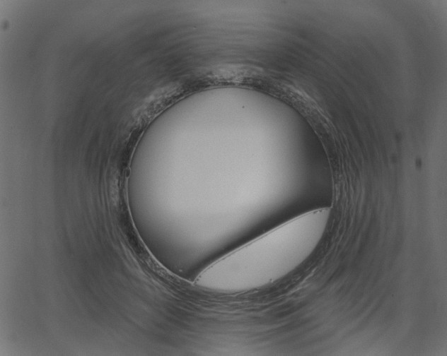 X0000067350504200603310903