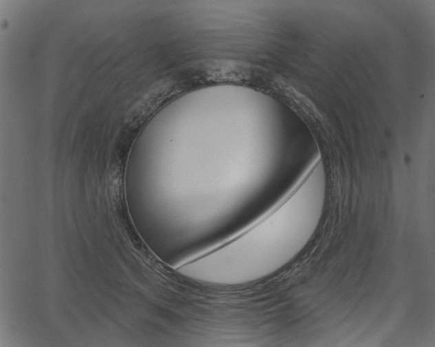 X0000067350513200603310903