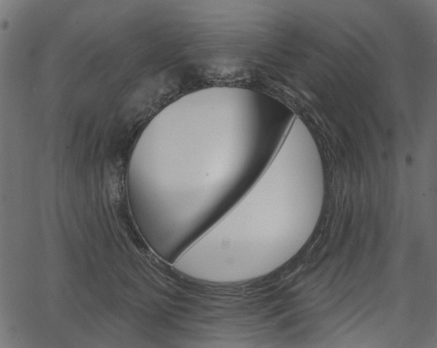 X0000067350515200603310903