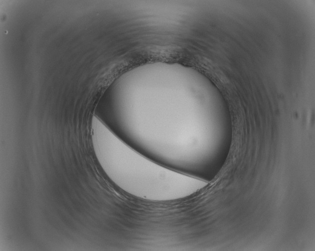 X0000067350528200603310903