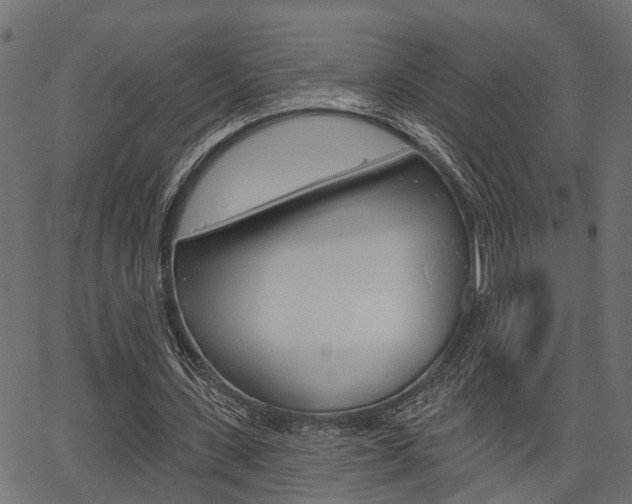 X0000067350531200603310902