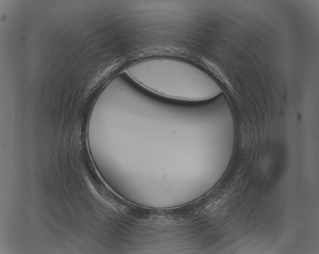 X0000067350538200603310902