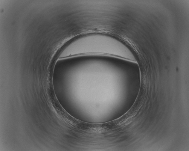 X0000067350540200603310902
