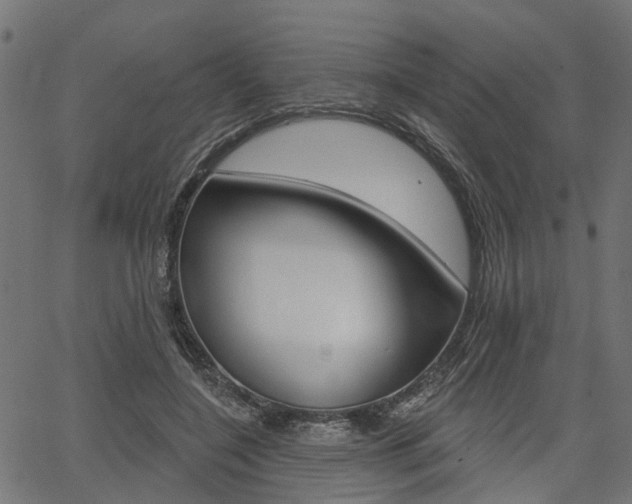 X0000067350548200603310902