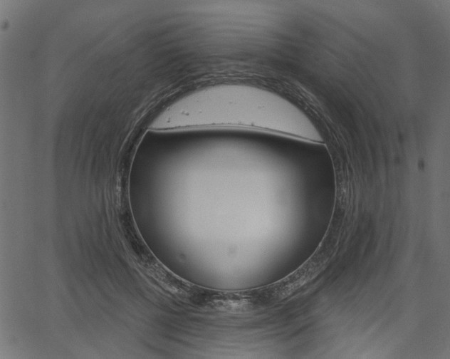 X0000067350552200603310902