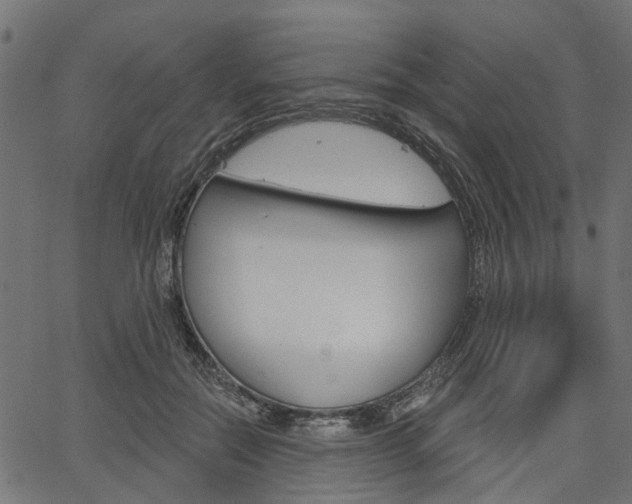 X0000067350554200603310902
