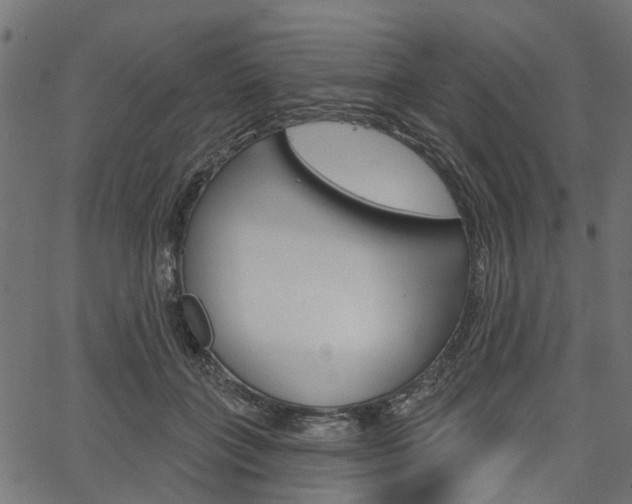 X0000067350555200603310902