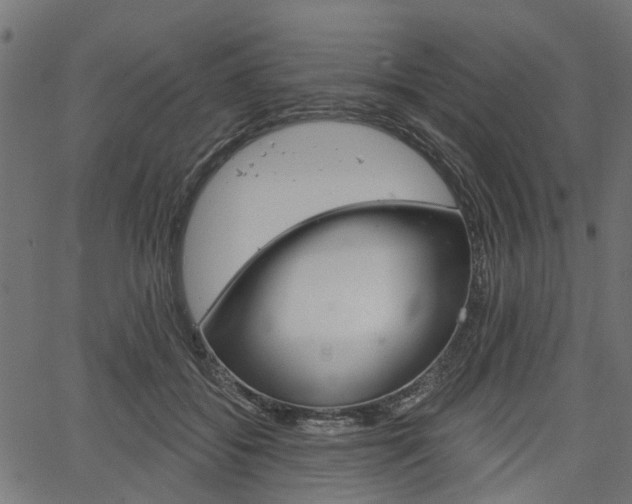 X0000067350556200603310902