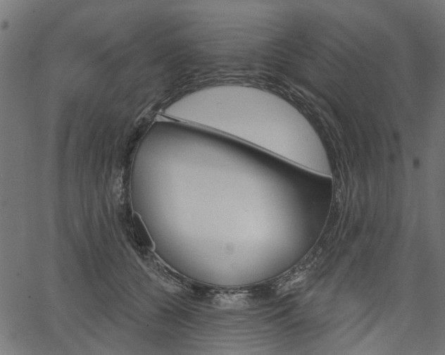 X0000067350560200603310902