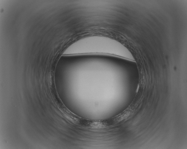 X0000067350562200603310902