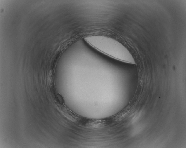 X0000067350563200603310903