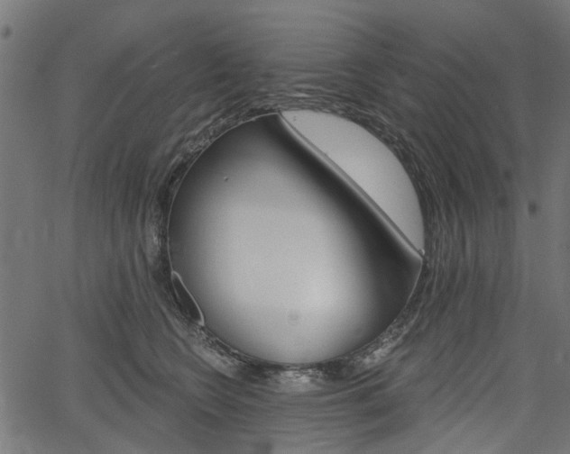 X0000067350566200603310903