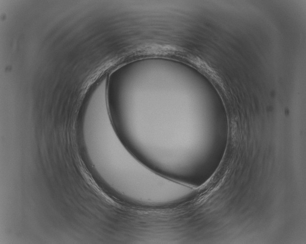 X0000067350581200603310902