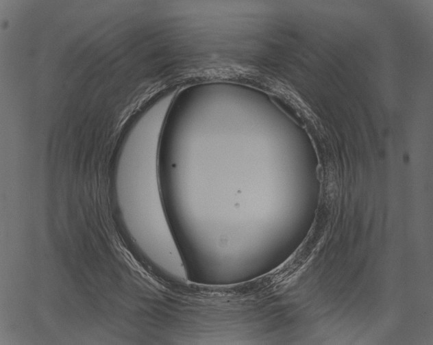 X0000067350585200603310902