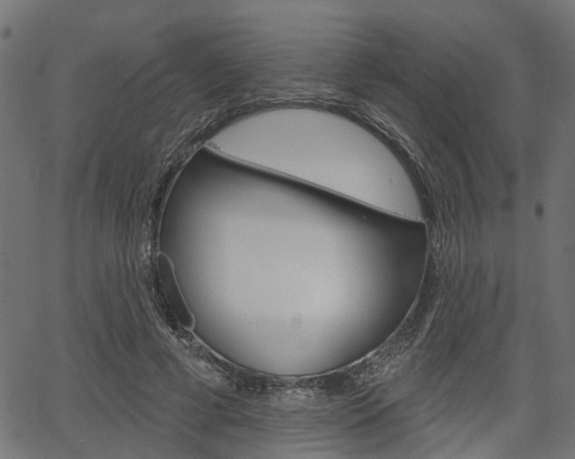X0000067350593200603310902