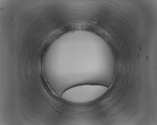 X0000067350594200603310902